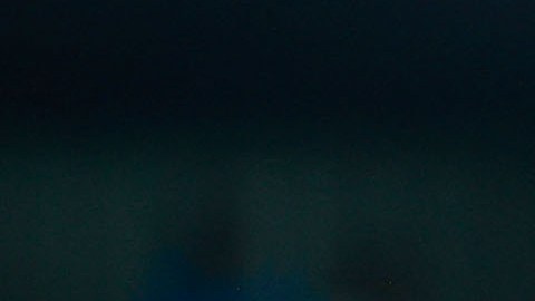 El jugador de los Pumas afirmó que harán todo lo posible para vencer a Seattle.