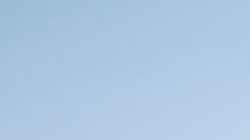 El entrenador brasileño criticó la reactivación de la Liga MX en medio de la Leagues Cup.