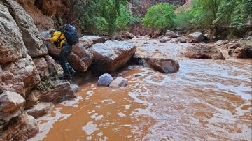 Las fuertes lluvias provocaron inundaciones que hicieron que cerraran el área de turistas.