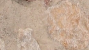 Jennifer Garner y Ben Affleck compartieron con su hija Violet en Connecticut.