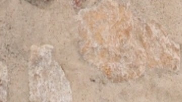 Jennifer Garner y Ben Affleck compartieron con su hija Violet en Connecticut.