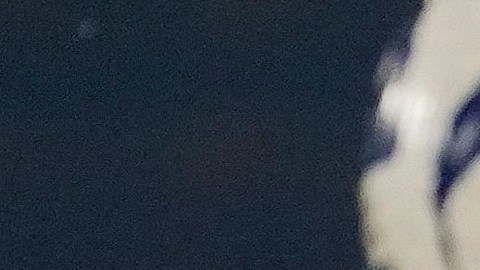 Juan Izquierdo falleció luego de sufrir un infarto en pleno encuentro de Copa Libertadores.