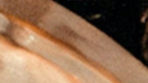 Julián Gil, actor argentino.