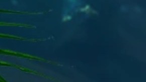 Reality show 'La Isla: Desafío Extremo', que transmite Telemundo.