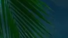 Reality show 'La Isla: Desafío Extremo'.