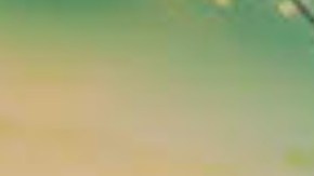 Primer eliminado del reality show 'La Isla: Desafío Extremo'.