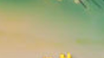 Primer eliminado del reality show 'La Isla: Desafío Extremo'.