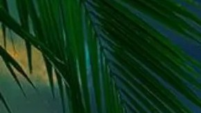 La Isla: Desafío Extremo, reality show de Telemundo