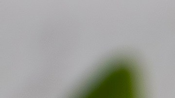 Hierba medicinal