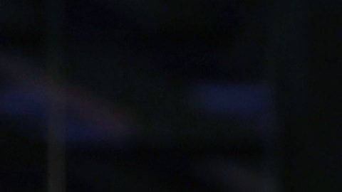 Lili Estefan, presentadora de televisión