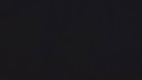 Charlie McDowell y Lily Collins se casaron en 2021.