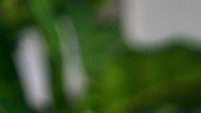 Lindsay Casinelli, periodista venezolana.