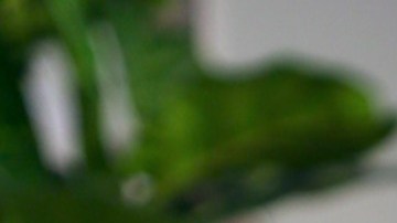 Lindsay Casinelli, periodista venezolana.