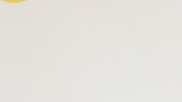 Lourdes Stephen, presentadora de televisión.