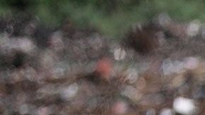 La exposición a corto plazo a niveles elevados de gases de vertedero, como el amoníaco y sulfuro, puede ocasionar tos, irritar los ojos, la nariz y la garganta, producir dolor de cabeza, provocar náuseas y problemas respiratorios, indicó el Departamento de Salud del estado de Nueva York.
