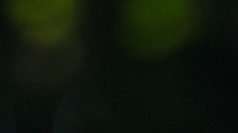 Esta no es la primera vez que Maduro ataca a artistas venezolanos por unirse a las manifestaciones en su contra.