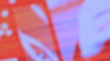 María Antonieta Collins.