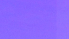 Maripily Rivera acompañada de Clovis Nienow.