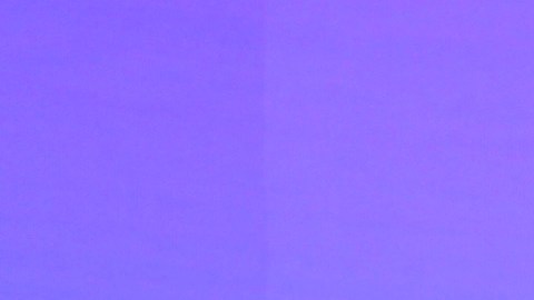 Maripily Rivera acompañada de Clovis Nienow.