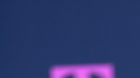 Migbelis Castellanos, presentadora venezolana de televisión.