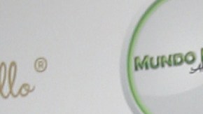 Migbelis Castellanos, presentadora venezolana de televisión.