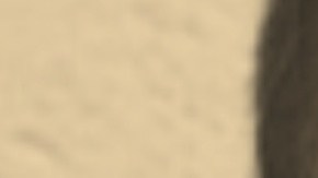 Omar David Zavala, de 30 años, de El Salvador es buscado por las autoridades por varios crímenes.