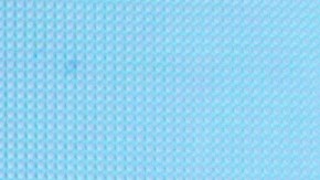 Niurka Marcos, actriz cubana.