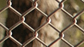 Organizaciones proinmigrantes trabajan para que los menores recién llegados estén inscritos para el regreso a la escuela.