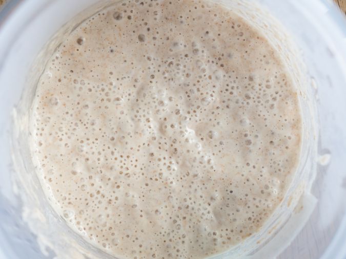 Pan masa madre