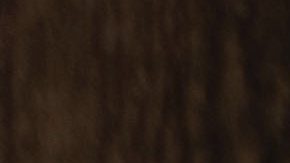 Imagen referencial Policía.