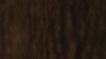 Imagen referencial Policía.