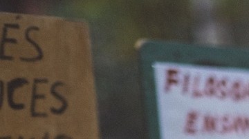 La organización PEN America no está de acuerdo con la ley, ya que la votación para establecerla fue mínima.