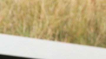 Raúl de Molina, presentador de televisión.