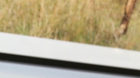 Raúl de Molina, presentador de televisión.