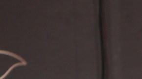 Raúl de Molina sufrió percance de salud esta semana.