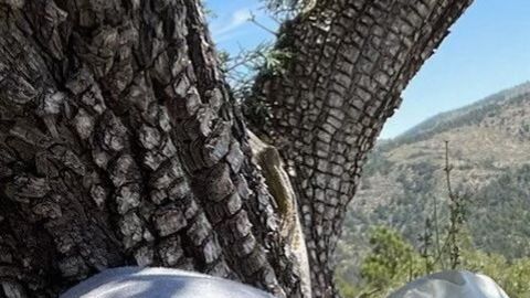 Después de caminar 9 millas en la montaña, comenzaron a tener síntomas de deshidratación por el intenso calor.