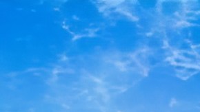 Los dos jóvenes, quienes exhiben en la gráfica sus placas, tienen apenas meses residenciados en la Gran Manzana.