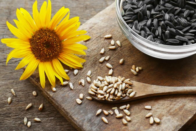 Semillas de girasol