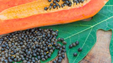 Semillas de papaya