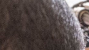 Tekashi 6ix9ine, rapero estadounidense.