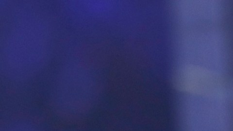 Tekashi 6ix9ine, rapero estadounidense.