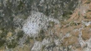 Triatlón en el río Sena.