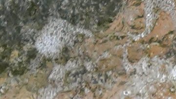 Triatlón en el río Sena.