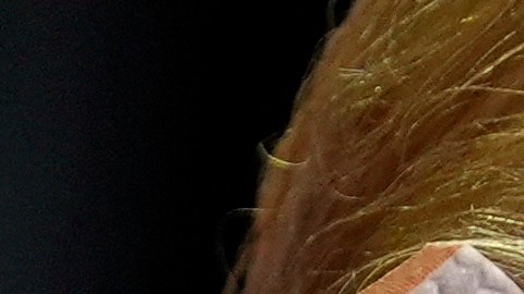 El hackeo ocurrido a la campaña de Trump es una importante brecha de seguridad.