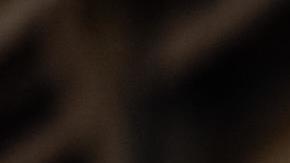 El martes, durante la Convención Nacional Demócrata, Barack y Michelle Obama criticaron duramente a Trump.