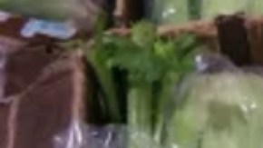 Los oficiales usaron una unidad K-9 para hacer la inspección que reveló 508 paquetes de metanfetamina.