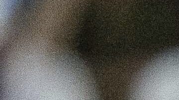 Selección de Uruguay en la Copa América 2024.