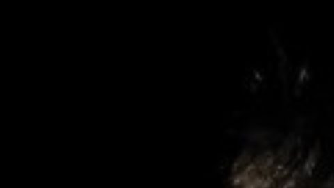 Luis Alberto Venado López.