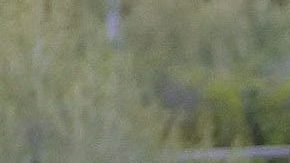 Maluma en compañía de Susana Gómez.