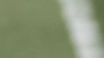 Los jugadores del Real Madrid Kylian Mbappé (i) y Jude Bellingham (d), durante el entrenamiento en la Ciudad Deportiva de Valdebebas.